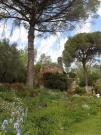 giardino con labero